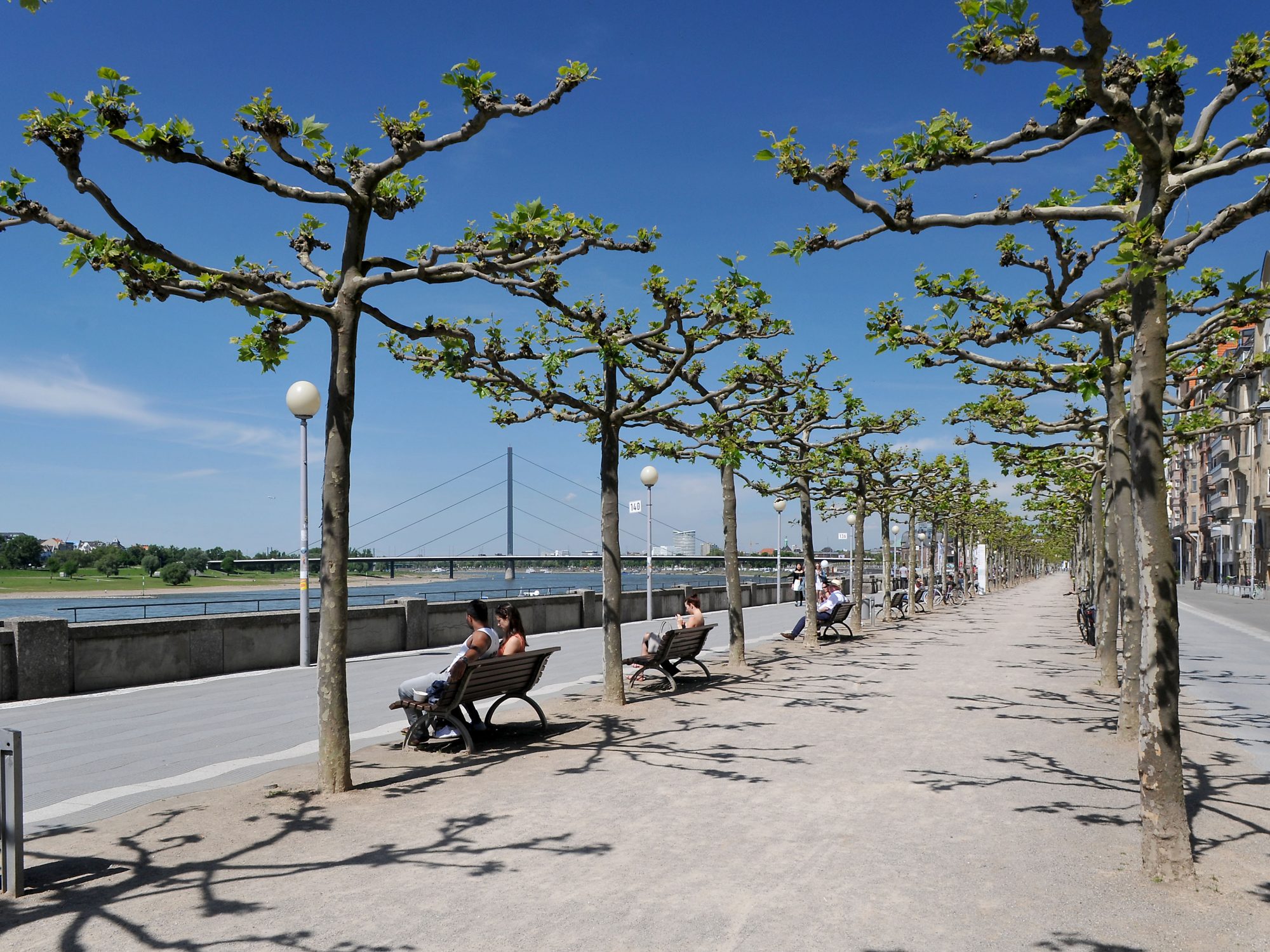 Rheinpromenade Düsseldorf, Mai 2017