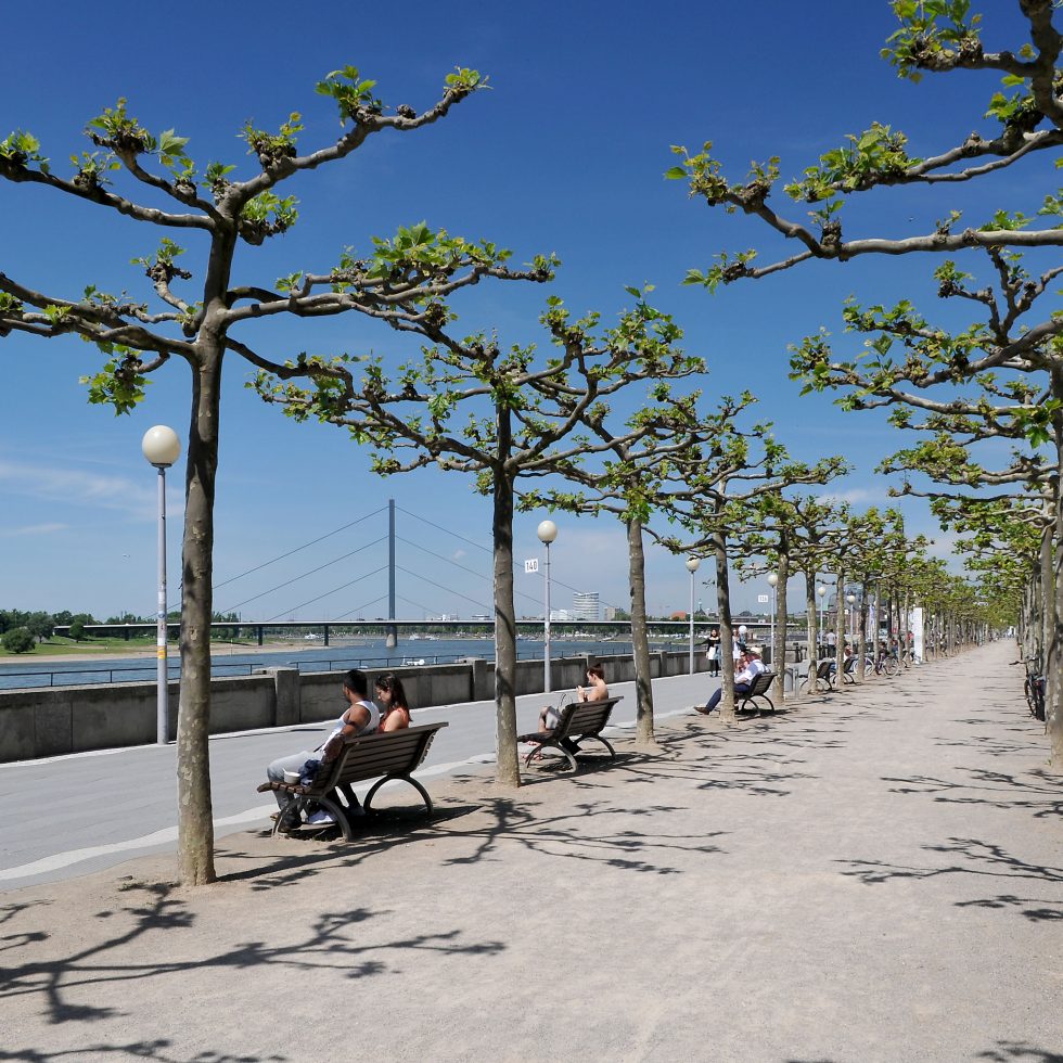 Rheinpromenade Düsseldorf, Mai 2017